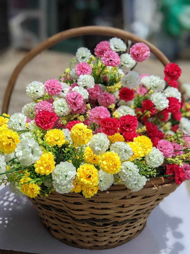 Rainbow Carnation Basket